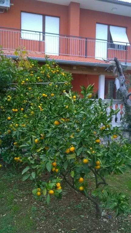 Apartment Anny Pula Exterior foto